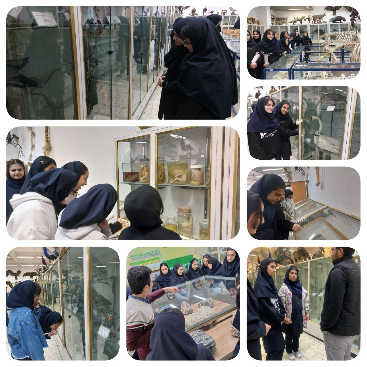 بازدید از موزه های دانشگاه فردوسی (علوم زمین و جانورشناسی)